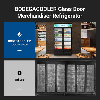 BODEGAcooler Commercial Refrigerator 2 Glass Doors Display Refrigerator Merchandiser 35.4 Cu. Ft