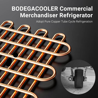 BODEGAcooler Commercial Refrigerator 2 Glass Doors Display Refrigerator Merchandiser 35.4 Cu. Ft