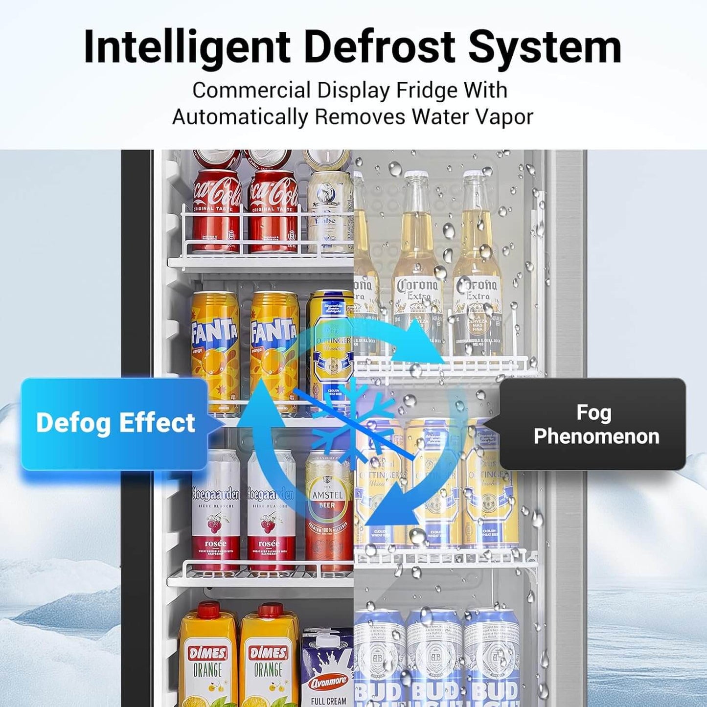 Bodega cooler Upright Display refrigerator Commercial Fridge 10.2 Cu.Ft.