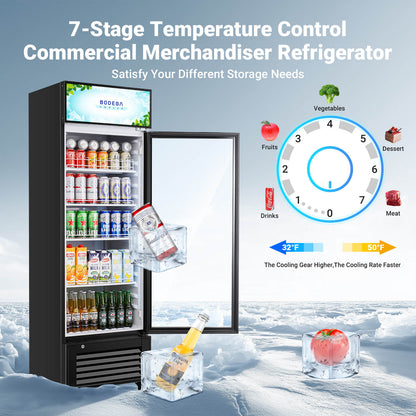 BODEGAcooler Commercial Glass Door Display Refrigerator Merchandiser 10cu.ft